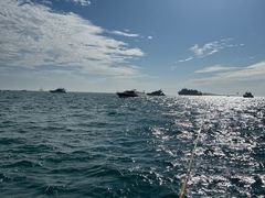 -小猫钓鱼海钓俱乐部(椰梦长廊店)