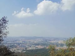 -紫金山山顶公园