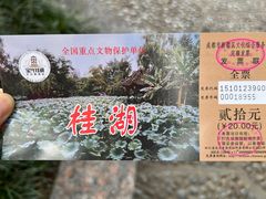 -桂湖森林公园
