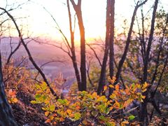 -帽儿山国家森林公园