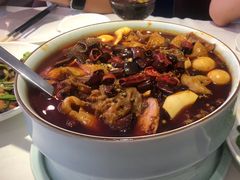 重庆毛血旺-渝信川菜(工体店)