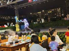 -渔家火锅·海鲜自助餐·演艺(亚龙湾天域酒店)