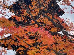 -医王山·飞騨国分寺