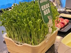 -海底捞火锅(连城广场店)