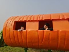 -西部长青自然儿童乐园