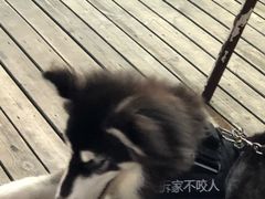 -唐沫茶兮(仓山万达金街店)