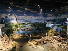 -自贡恐龙博物馆