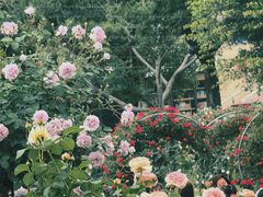 -牛岗山公园