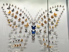 -四川大学博物馆