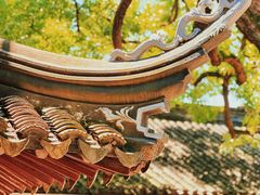 -西园戒幢律寺