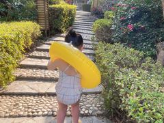 -金孔雀温泉旅游度假村