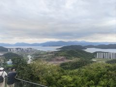 -黄贤森林公园