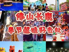 -长鹿旅游休博园