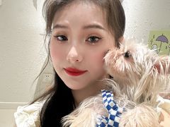 -读宠于你·约克夏比熊·睫角守宫·爬宠售卖(高新店)