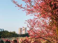 -望江楼公园