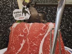 -洪氏嗨捞·猪肚鸡火锅(阳光天地店)