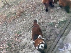 -苏州太湖西山岛开心农场
