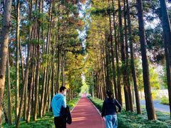 -上海长兴岛郊野公园