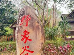 -野象谷景区