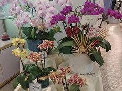 -EPOQUE·一刻花店(兴业太古汇店)