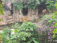 -长鹿旅游休博园