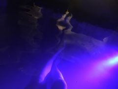 -御林汤泉