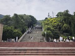 -铁山坪森林公园