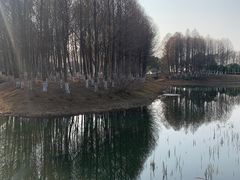 -阳澄湖半岛旅游度假区