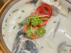 千岛湖浓汤鱼头-全乐鱼馆·淳牌有机鱼直营店