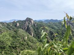 -大岭沟猕猴桃谷风景区