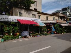 -溪岸路花鸟市场