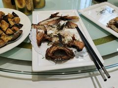 石斑鱼-金春禧(英雄山路旗舰店)