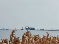 -上海吴淞炮台湾国家湿地公园