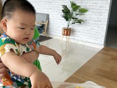 -都念榴莲·城市榴莲