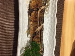 -割烹旭日本料理(龙湖狮山天街店)