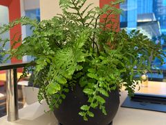 -隅乐胡椒虾·台湾菜·团建(皇岗店)