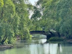 -贡湖湾湿地公园