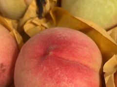 -南汇新场正宗水蜜桃采摘