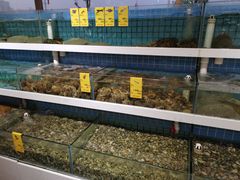 水产区-双海酒店·海鲜家常菜(南戴河店)