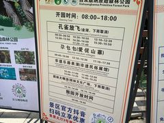 -西双版纳原始森林公园