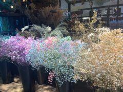 -L.C FLORA花予你(城西银泰城店)