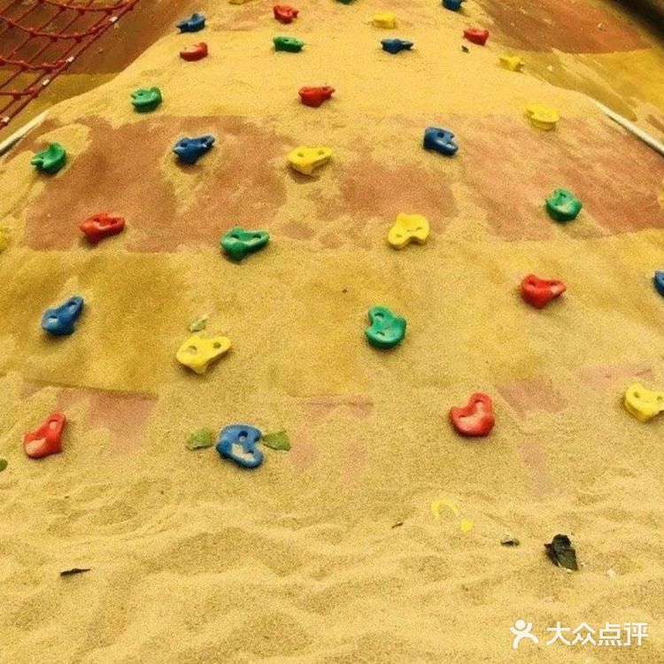 夏天带娃，有动物看还能玩耍[礼花]