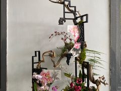 -杭州植物园