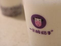 -一只酸奶牛(八一路店)