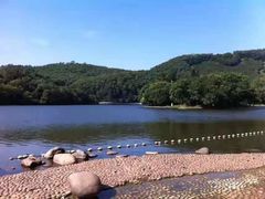 -深圳仙湖植物园
