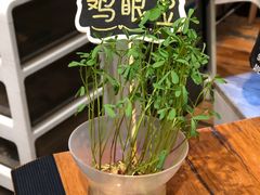 -饵块食光·云南有机手作饵块