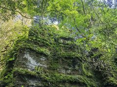 -梭布垭石林景区