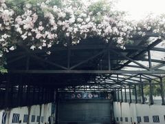 -成都中医药大学(温江校区)