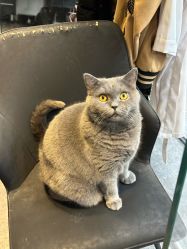 点击看大图 -飛凡TATTOO纹身•原创