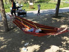 -东郊湿地公园